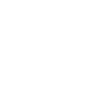 Products in shopping cart